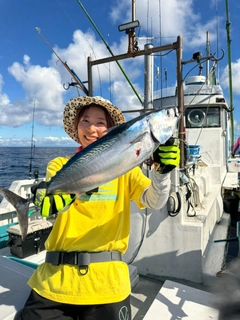 ヒラソウダの釣果