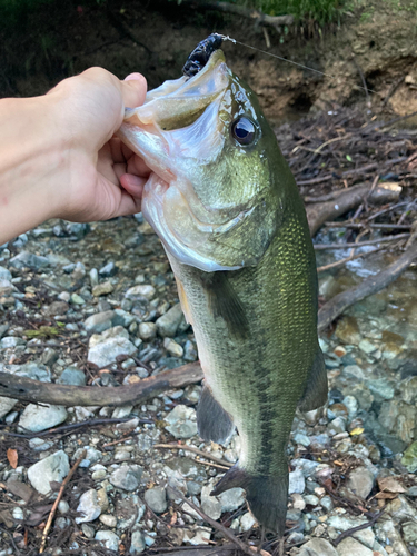 鱒渕ダム湖