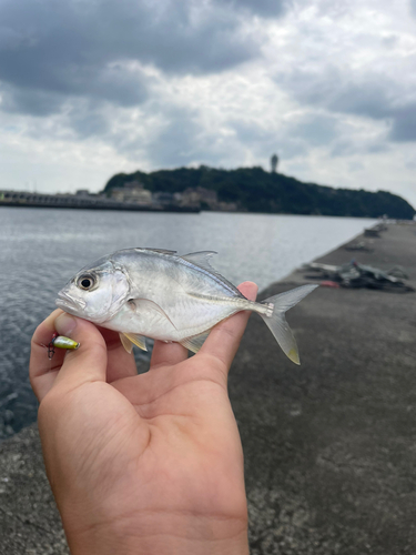 江ノ島