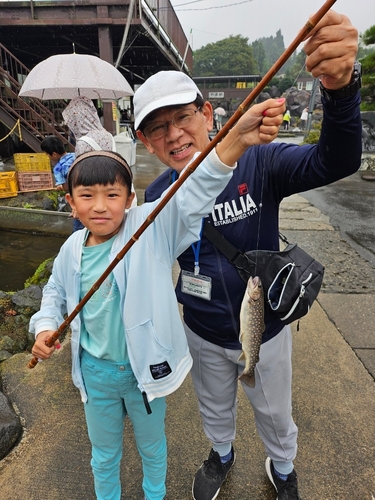 イワナの釣果