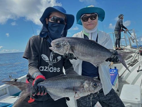 ヒラソウダの釣果