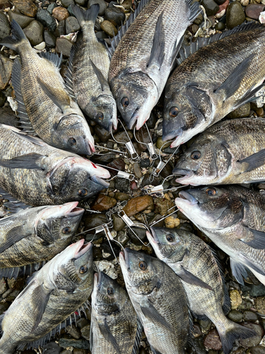 奥浜名湖