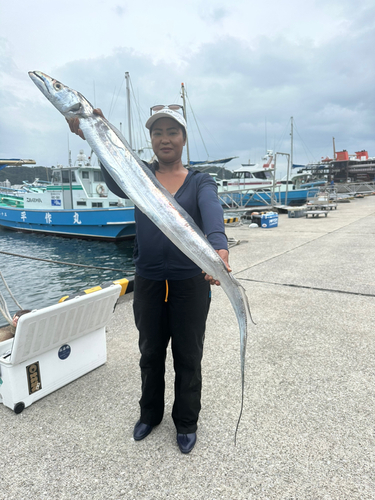 タチウオの釣果