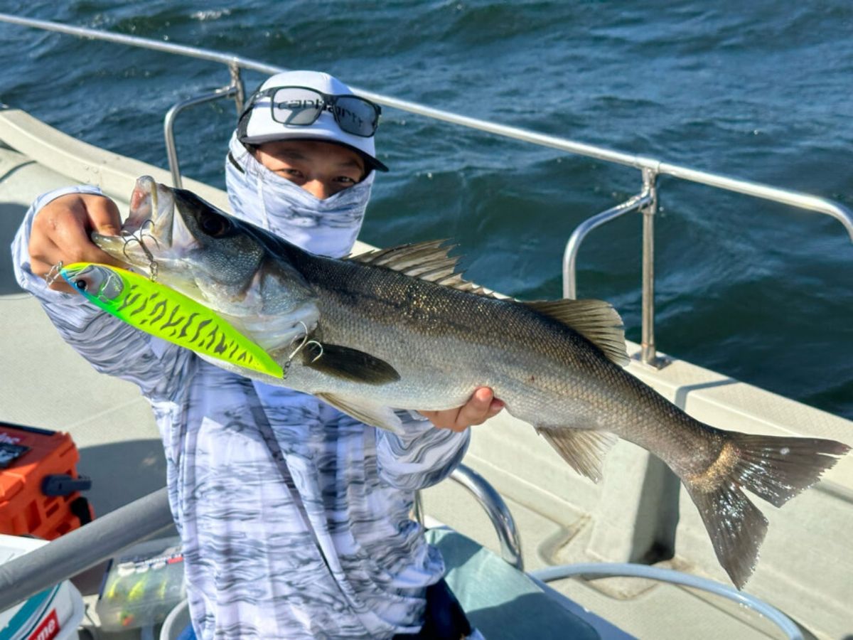 KAZUボート 釣果さんの釣果 2枚目の画像