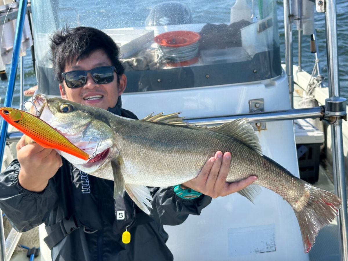 KAZUボート 釣果さんの釣果 3枚目の画像