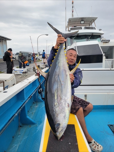 キハダマグロの釣果