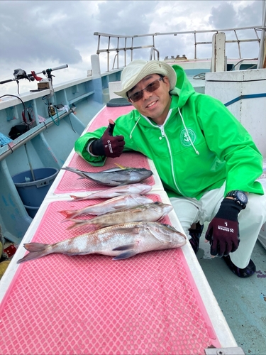 マダイの釣果