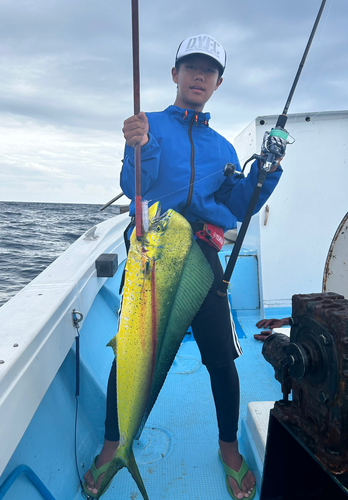 シイラの釣果