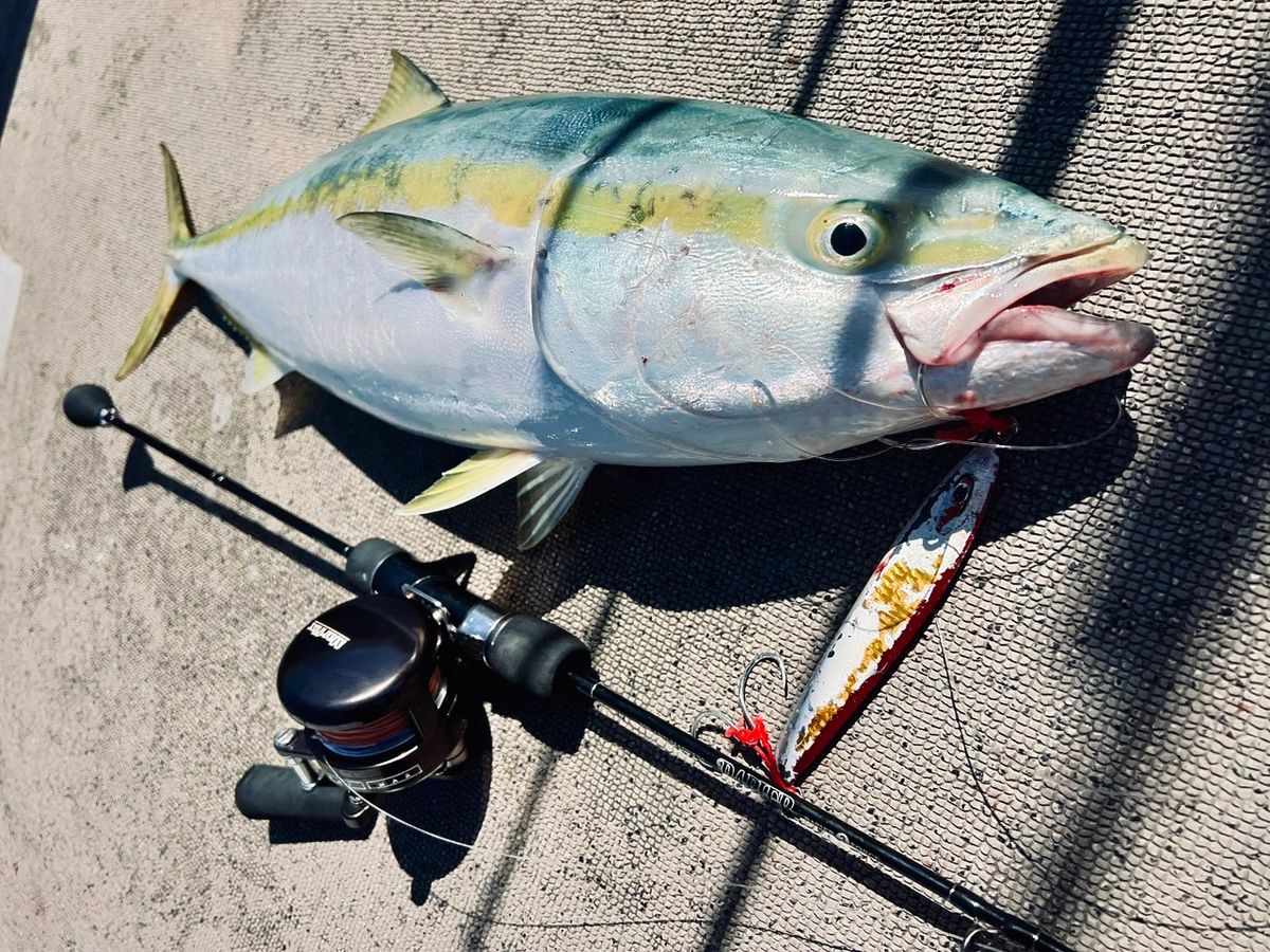 巧_TAKUMIさんの釣果 1枚目の画像