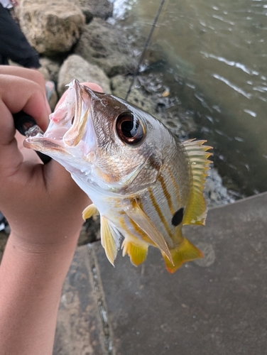 牧港湾