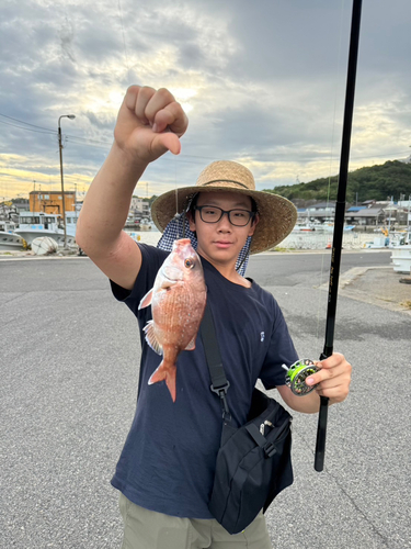 タイの釣果