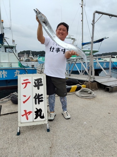 タチウオの釣果