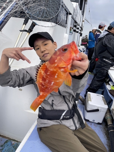 アカハタの釣果