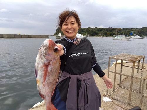 マダイの釣果