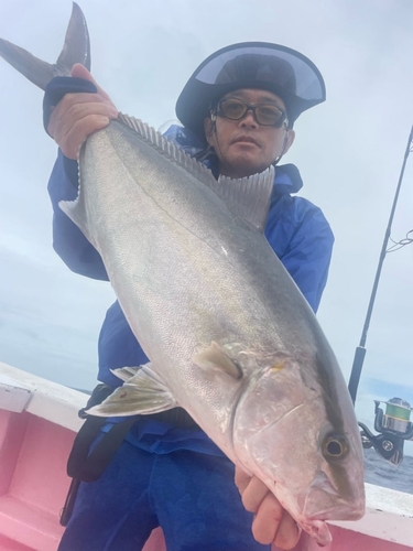 カンパチの釣果