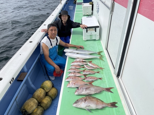 マダイの釣果