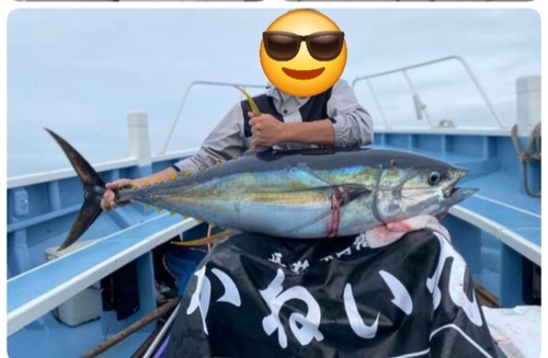 キハダマグロの釣果