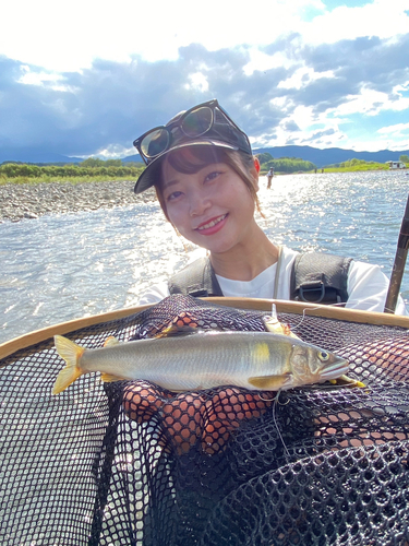 アユの釣果