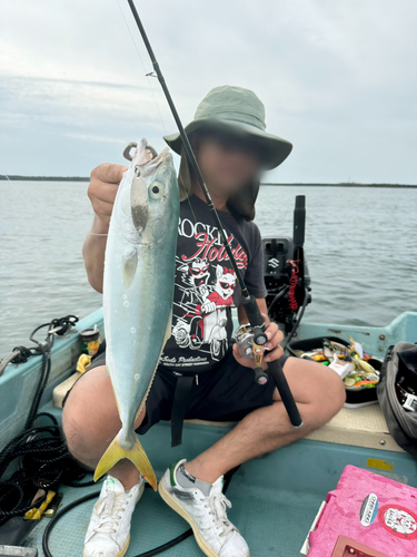 ワカナゴの釣果