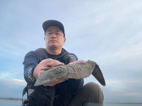 シタビラメの釣果