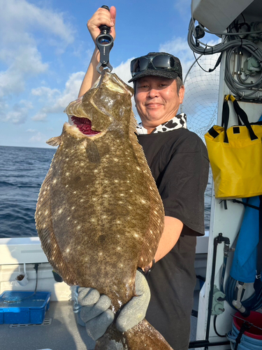 ヒラメの釣果