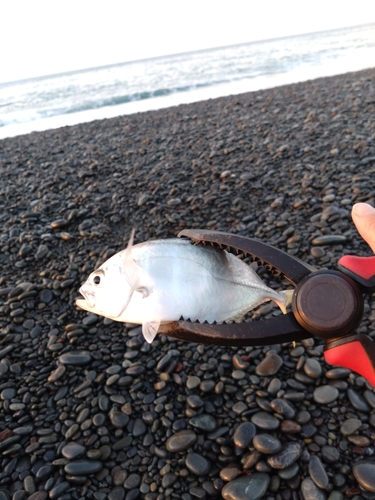 高知県東部