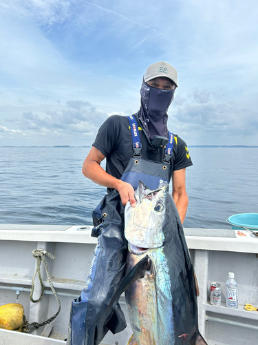 キハダマグロの釣果