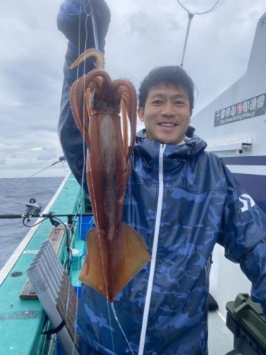 スルメイカの釣果