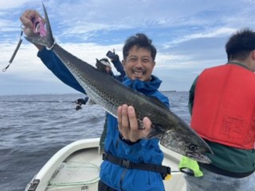 サワラの釣果