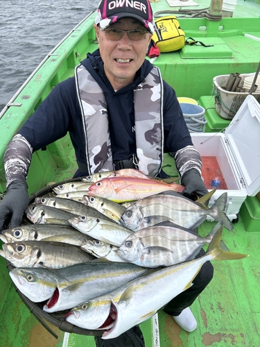 イナダの釣果