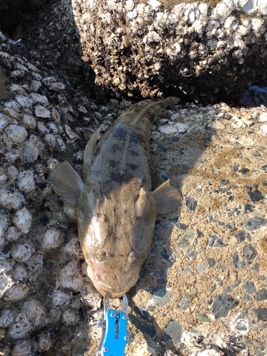 津屋崎海岸