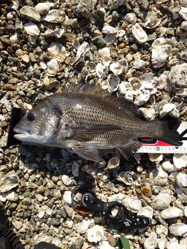 奥浜名湖