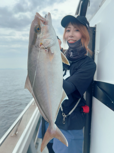 シオの釣果