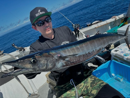 ヒメダイの釣果