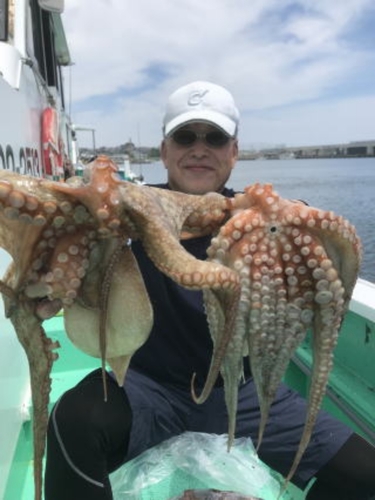 マダコの釣果