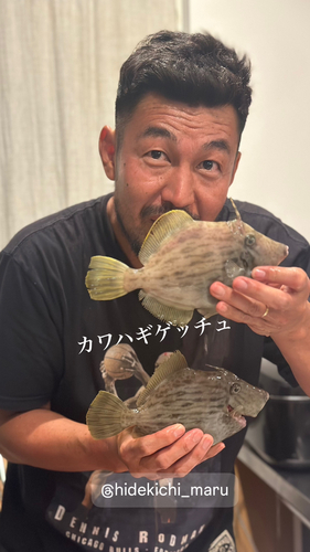 カワハギの釣果