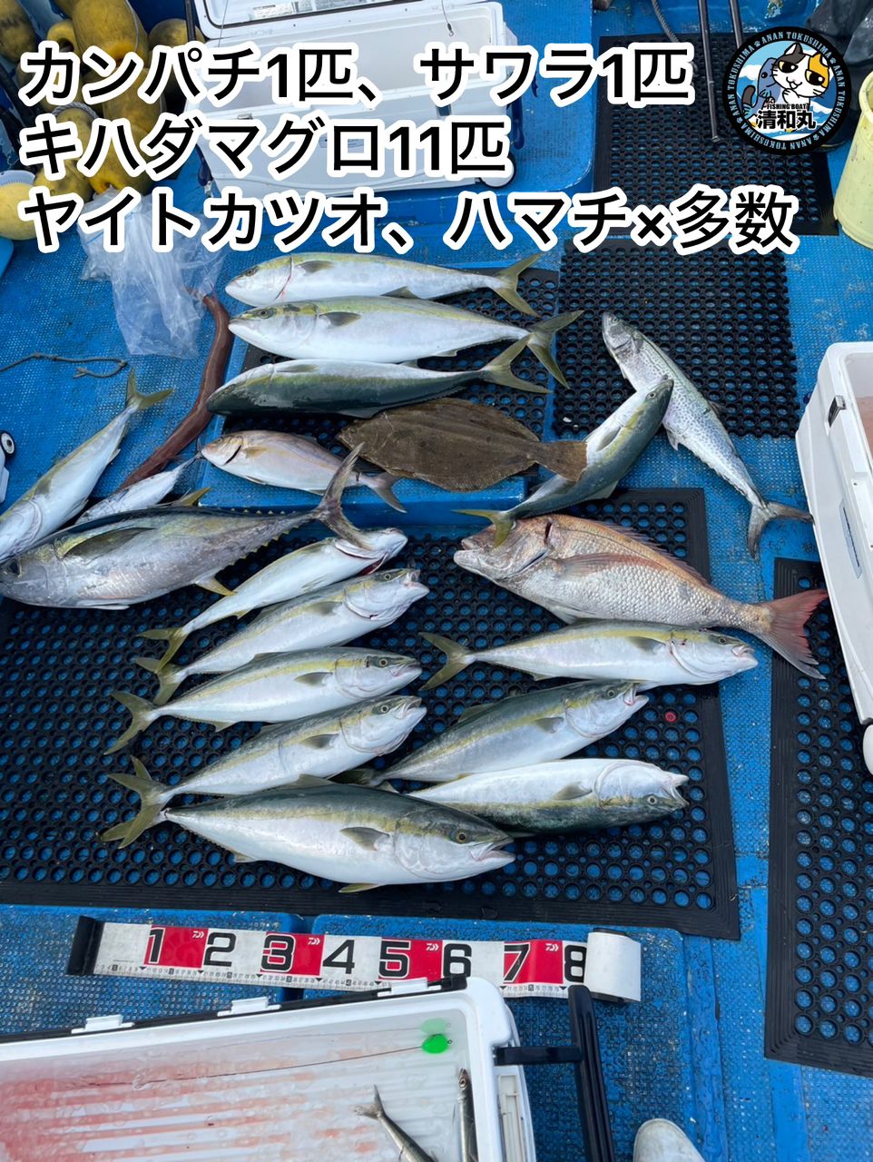 清和丸さんの釣果 3枚目の画像