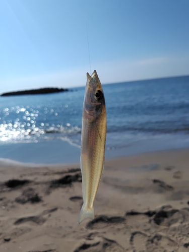 松任海浜公園