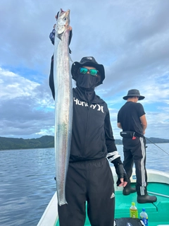 タチウオの釣果