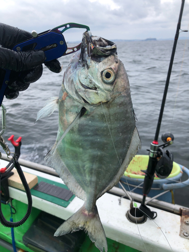 オキアジの釣果