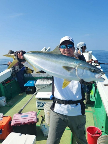 ヒラマサの釣果