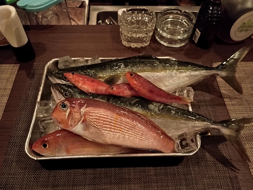 アカアマダイの釣果