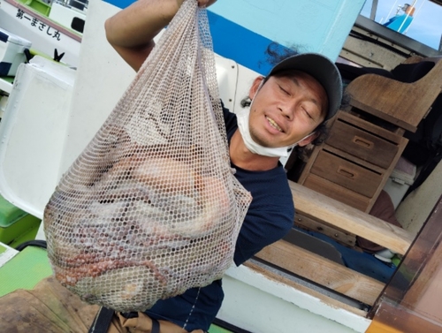 マダコの釣果