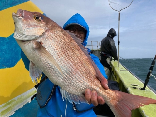 ハナダイの釣果