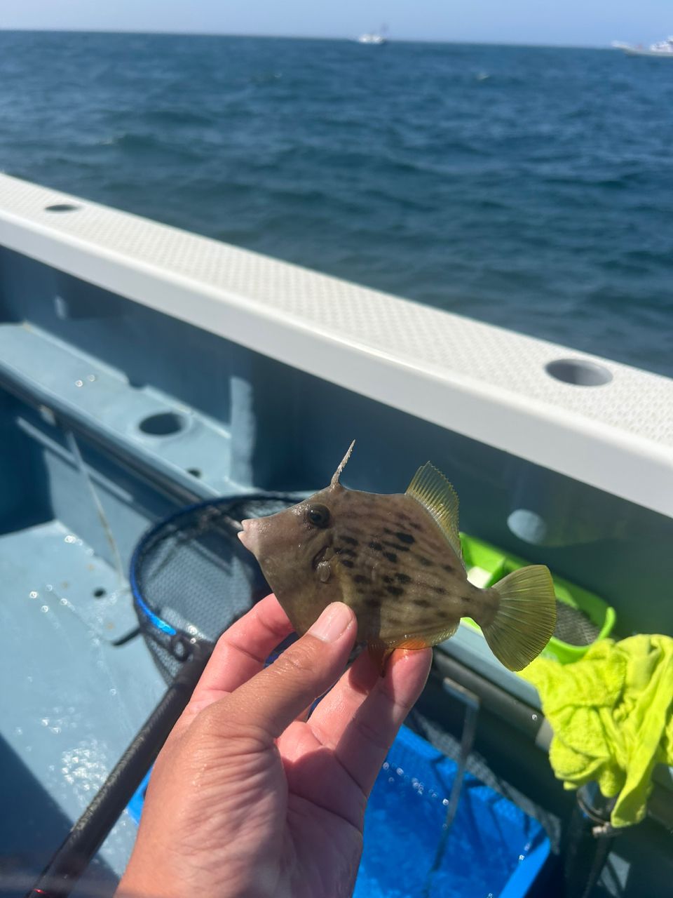 きンちゃンさんの釣果 3枚目の画像