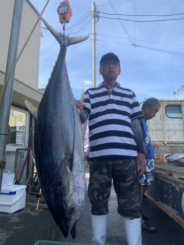 キハダマグロの釣果