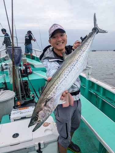 サワラの釣果