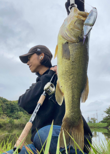 ブラックバスの釣果