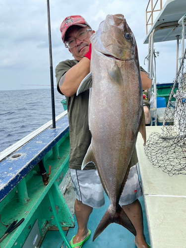 カンパチの釣果