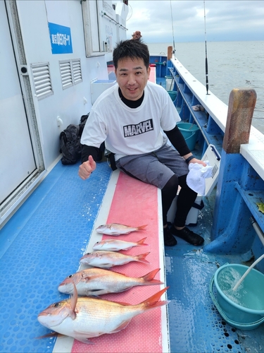 マダイの釣果